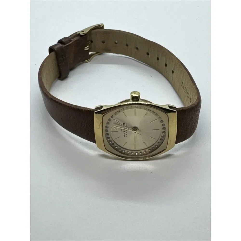 Skagen Asta SKW2239 Women's Brown Leather Analog Dial Quartz Wrist Watch JNA923
